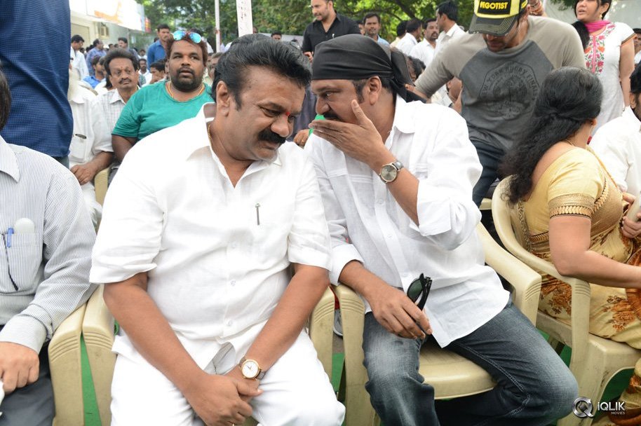 Telugu-Film-Industry-Participate-Swachh-Hyderabad